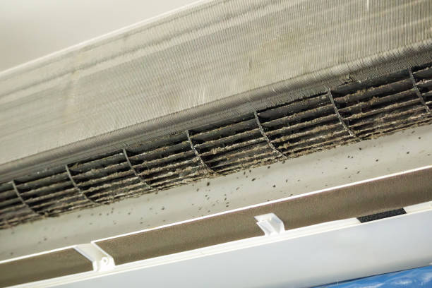 Best Residential Air Duct Cleaning in Southchase, FL